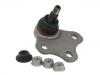 球头 Ball Joint:8J0 407 366